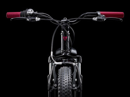 TREK BICYCLE Precaliber 20 7-speed